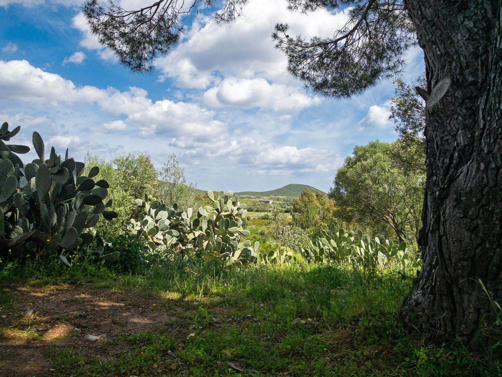 Agriturismo Guparza Posada  Eksteriør billede