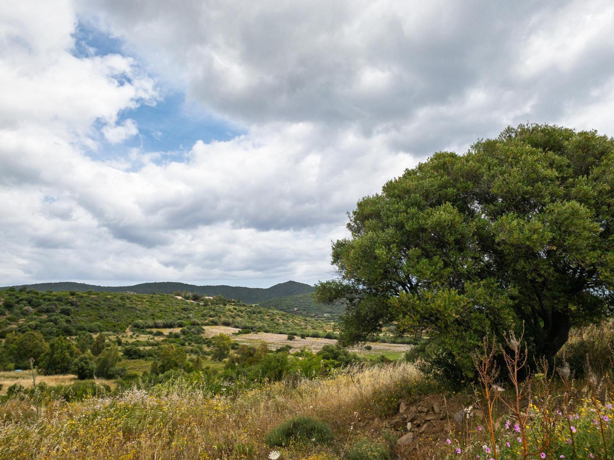 Agriturismo Guparza Posada  Eksteriør billede
